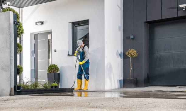 Best Gutter Cleaning and Brightening in Des C, AR